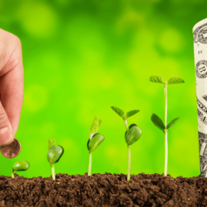community-manager-siteinternet-business-investissement
